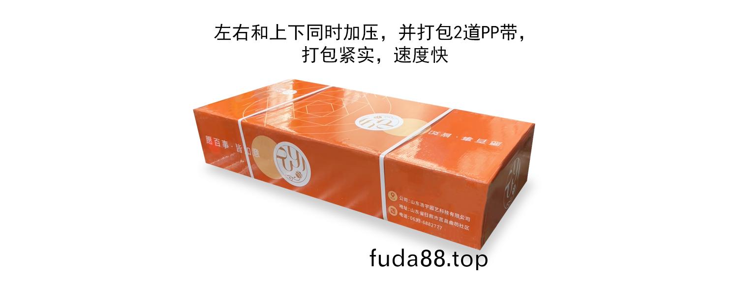 天地蓋(gai)加壓打包(bao)流水線(xian)包裝(zhuang)傚(xiao)菓