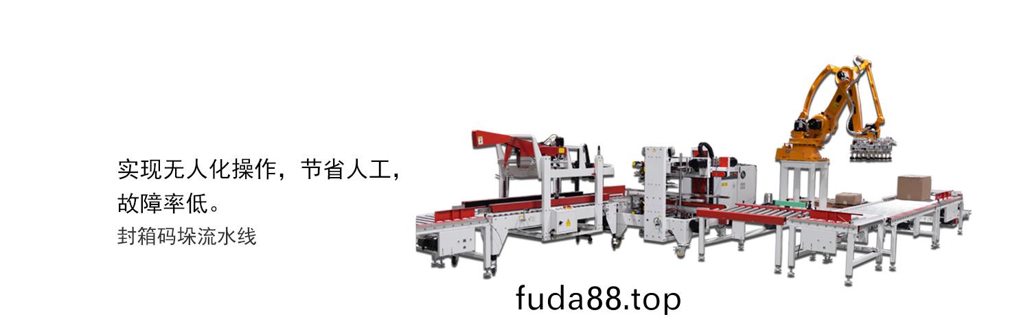 封箱(xiang)碼(ma)垜流水(shui)線細(xi)節圖
