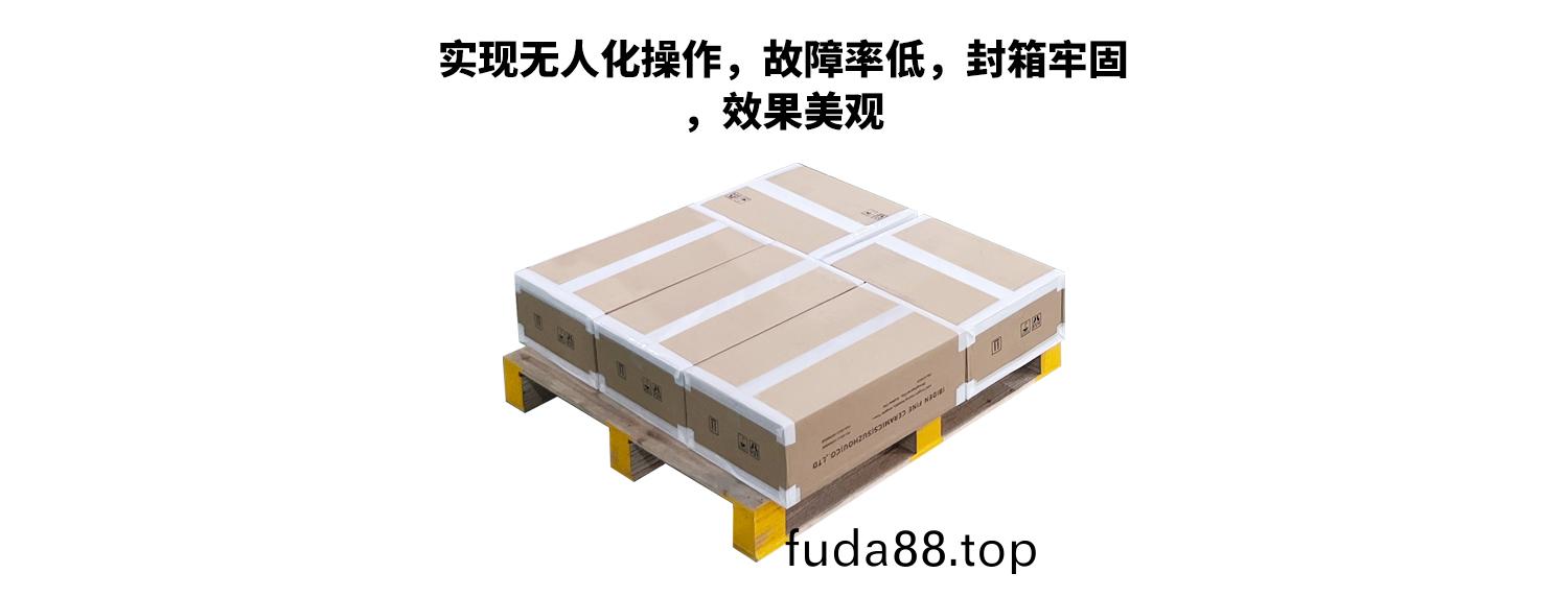 封箱(xiang)碼(ma)垜流(liu)水線(xian)包(bao)裝(zhuang)傚菓(guo)